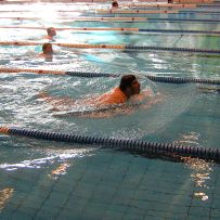 Plavecké závody zdravotně postižených