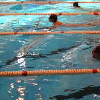 Plavecké závody zdravotně postižených